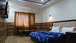 Hotel Vishnu Inn, Dehradun- Deluxe Rooms-2