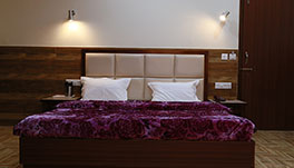 Hotel Vishnu Inn, Dehradun- Deluxe Rooms-5
