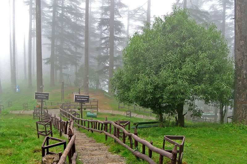 Dhanaulti- Dehradun