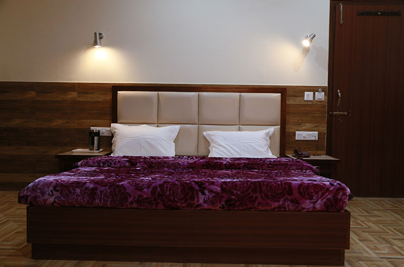Hotel Vishnu Inn- Deluxe Rooms-6